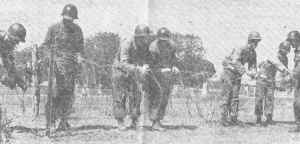 BarbedWire.jpg (115442 bytes)