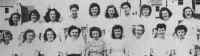 DentalSection-2.jpg (229274 bytes)